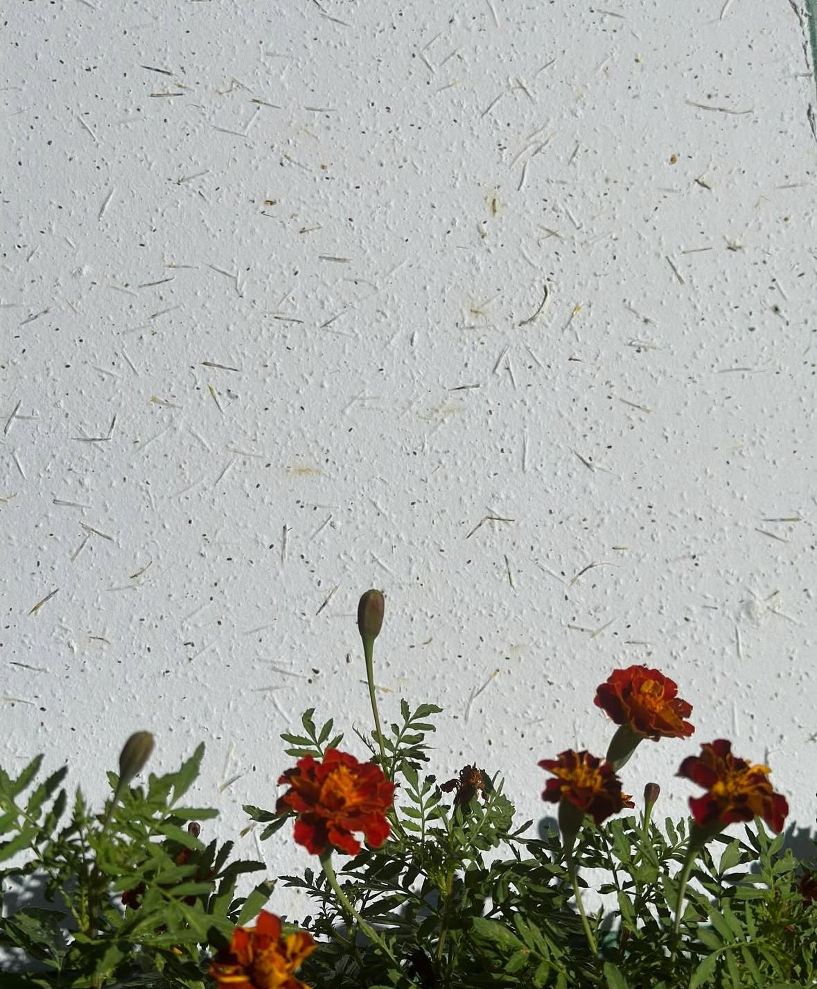 Ziedoša apsveikuma kartiņa